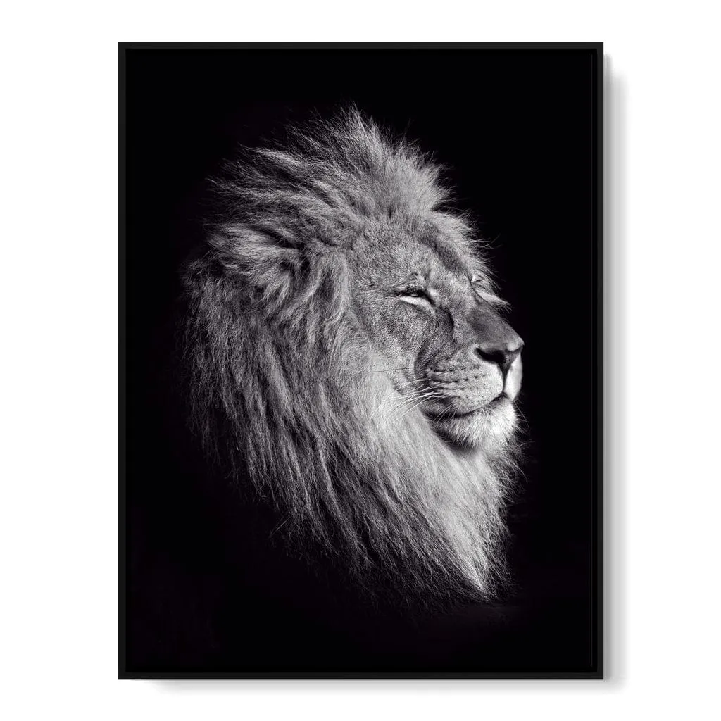 Black and White Lion King