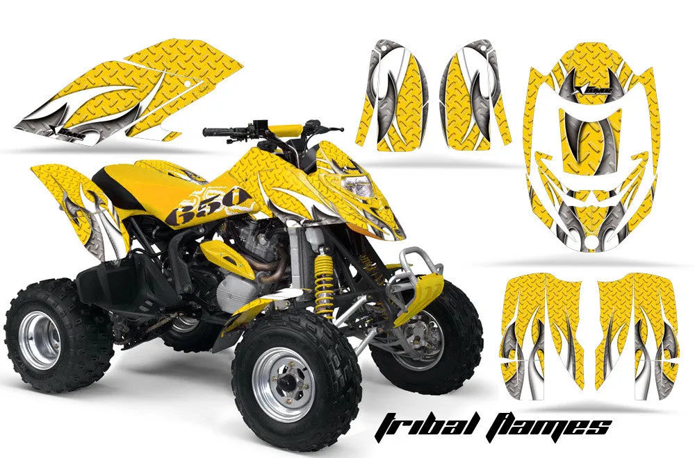 Bombardier DS650 Graphics (Can Am DS650 2000-2007 Graphics)