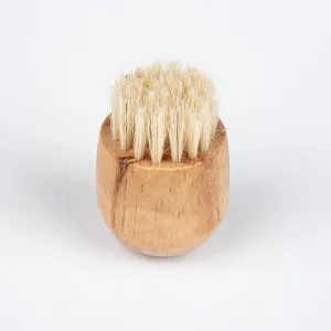 Cedar 2" Handheld Complexion Brush