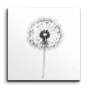 Dandelion Dreams: Monochrome Elegance