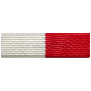 Ribbon Unit #3100