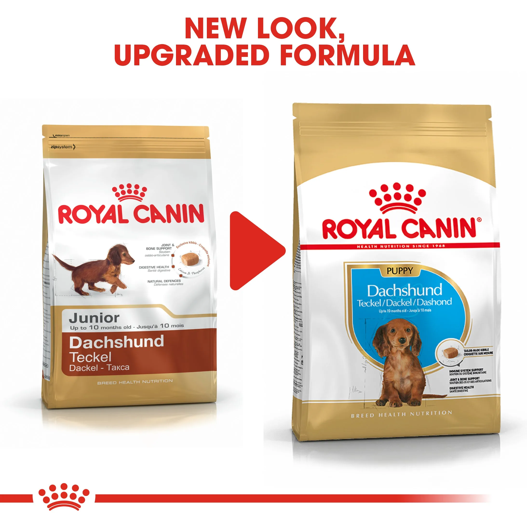 Royal Canin Dachshund Puppy 1.5kg