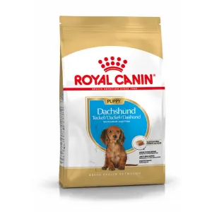 Royal Canin Dachshund Puppy 1.5kg