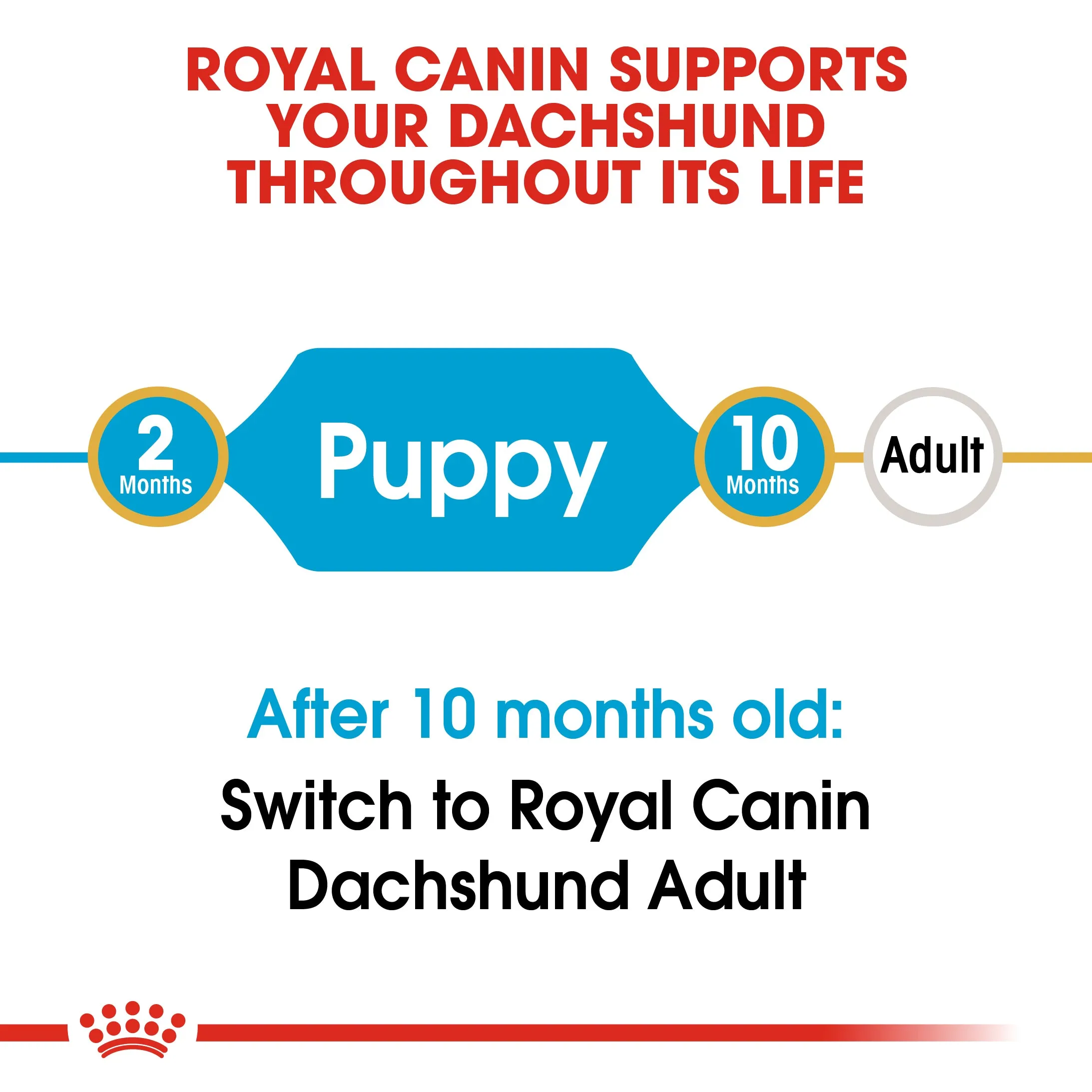 Royal Canin Dachshund Puppy 1.5kg