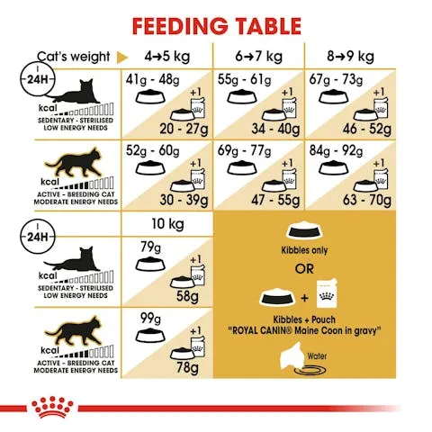 Royal Canin | Dry Cat Food | Maine Coon Adult - 2kg