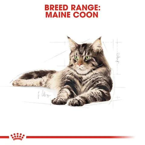 Royal Canin | Dry Cat Food | Maine Coon Adult - 2kg