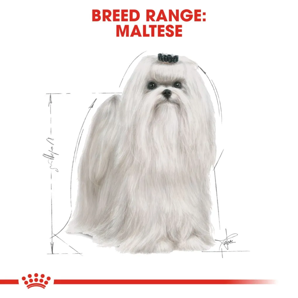 Royal Canin Maltese Adult 1.5kg