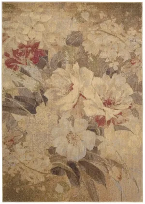 Somerset ST83 Multi Color Rug