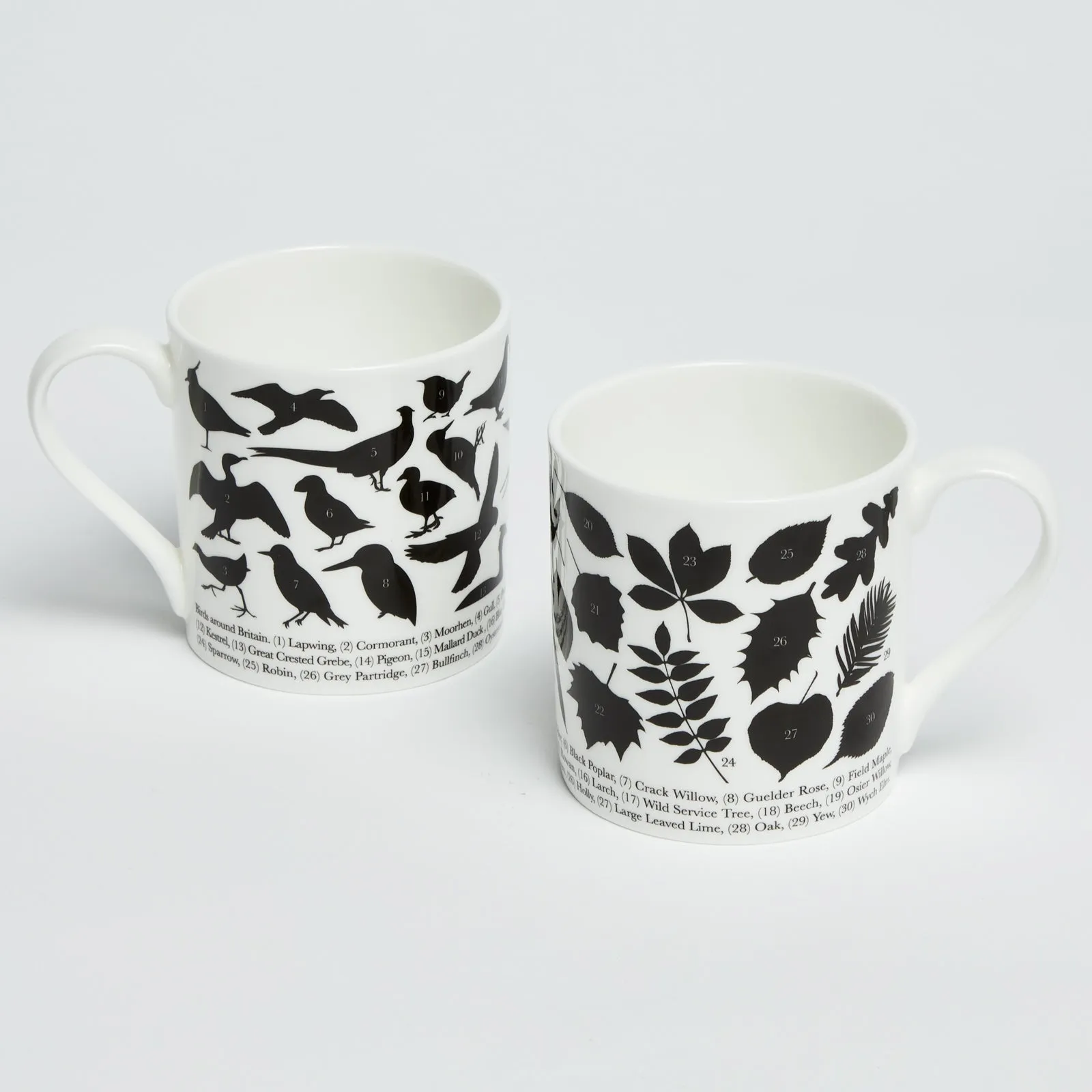 'Trees around Britain' Fine China Mug