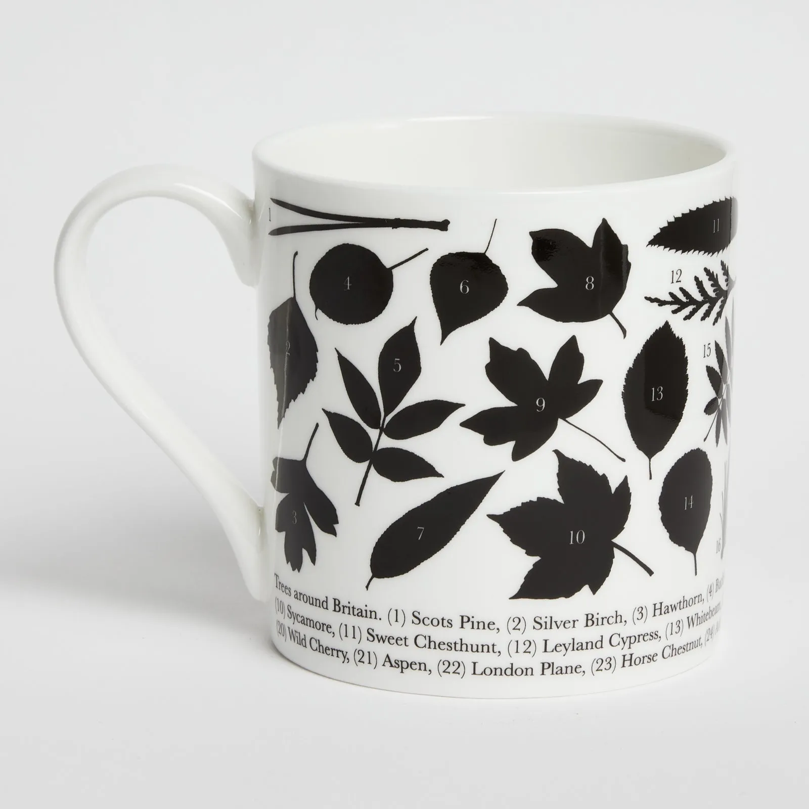 'Trees around Britain' Fine China Mug